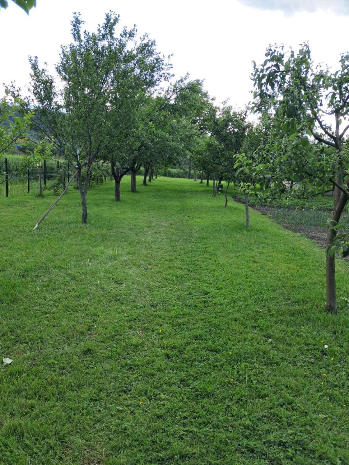 Kuca Za Odmor Amber * Bihać