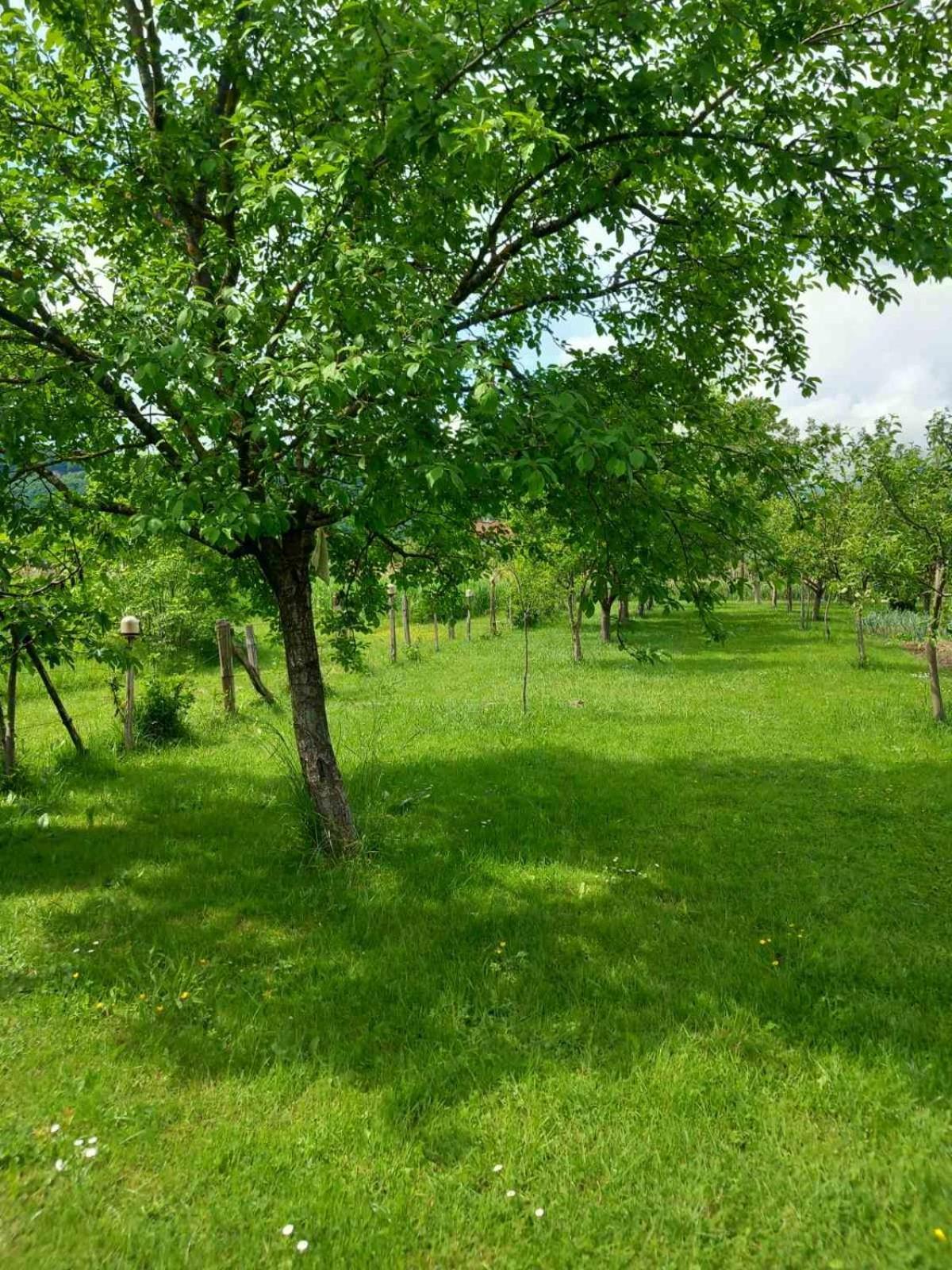 Kuca Za Odmor Amber Ferienhaus Bihać
