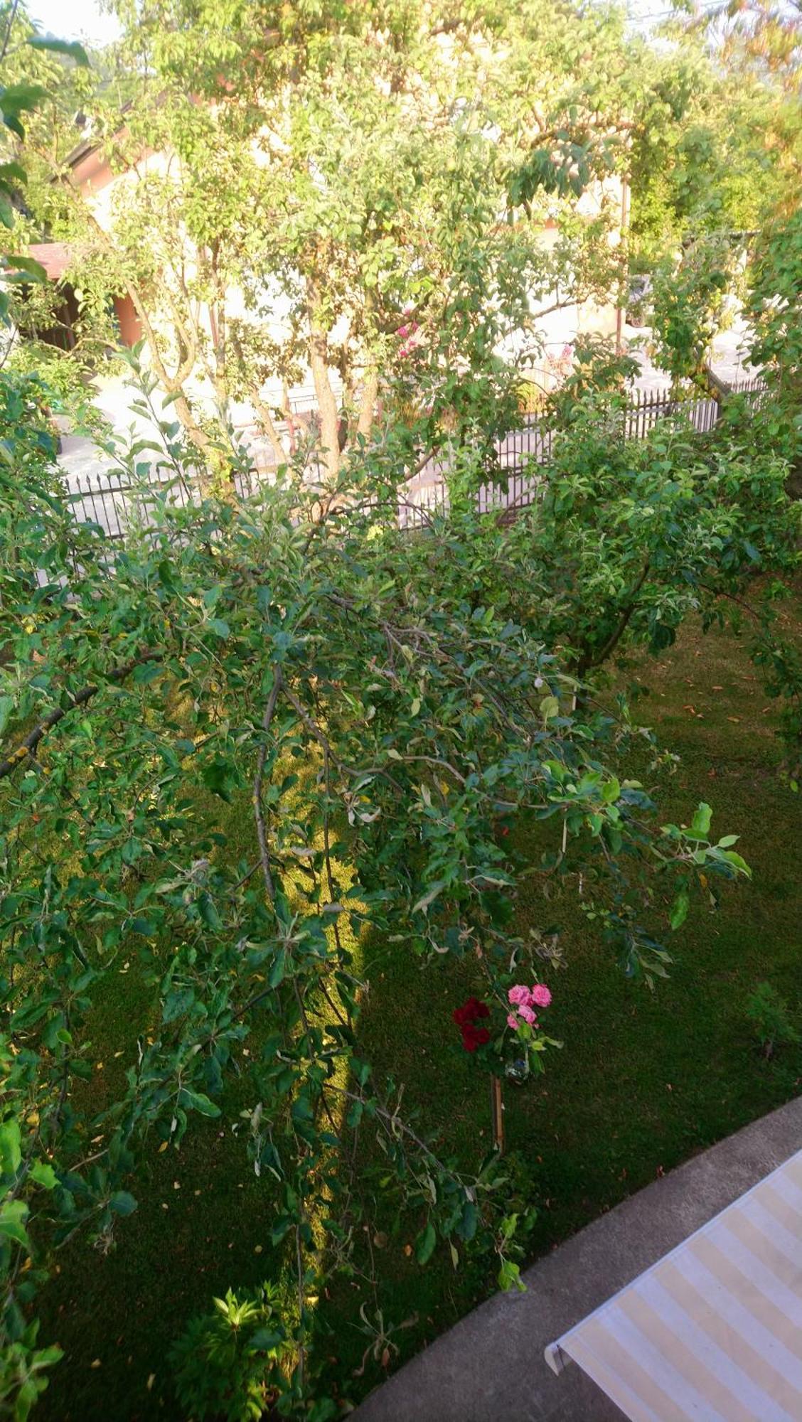 Ferienhaus Kuca Za Odmor Amber Bihać